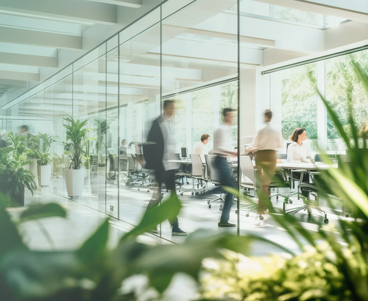 Mediconsulting en xifres